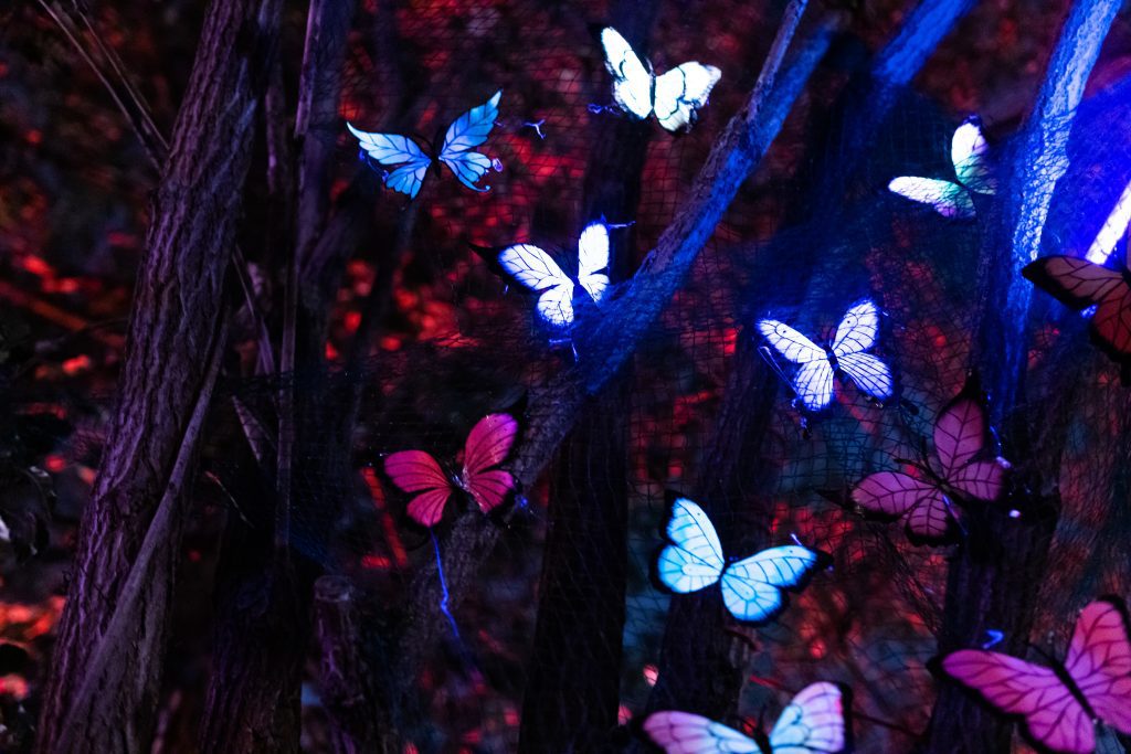 Schmetterlinge als Dekoration auf dem Organic Beats Festival 2022. Foto von Paul Datsche aka Martin Laube.